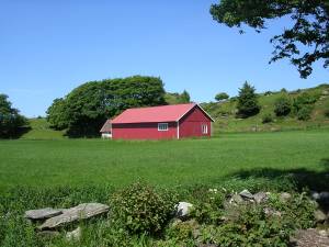 DSCN1565.JPG