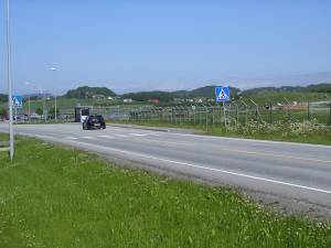 DSCN1575.JPG