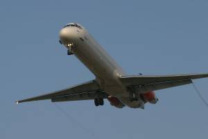 IMG_3005.jpg