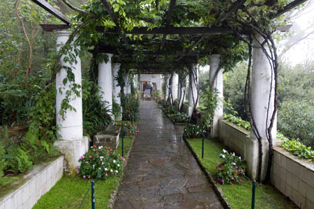Axel Munthes villa - Villa Michele