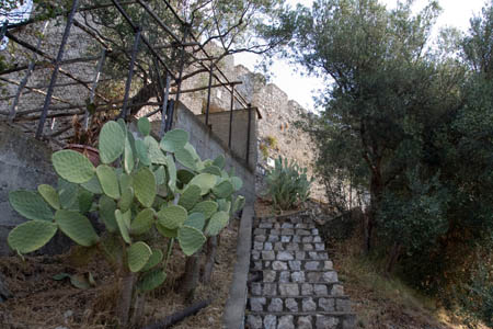 Maiori