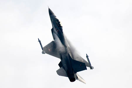 F-16 Fighting Falcon, E-598