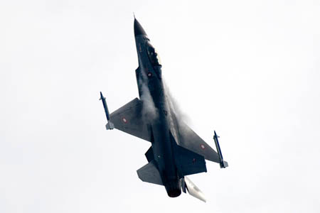 F-16 Fighting Falcon, E-598
