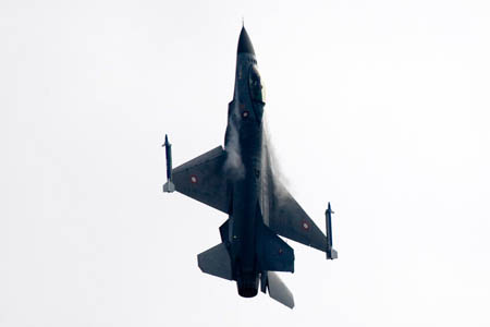 F-16 Fighting Falcon, E-598