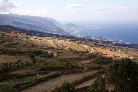 Den nordvestlige del af Tenerife