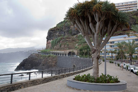 Den &oslash;stlige del af Puerto de la Cruz