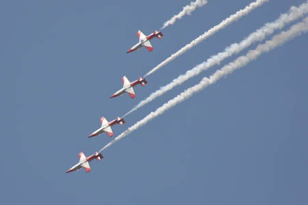 08-06-2008: Karup Airshow