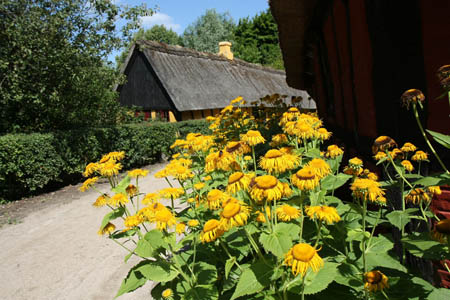 Juli 2008: Frilandsmuseet
