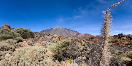 Parque Nacional de las Ca&ntilde;adas del Teide