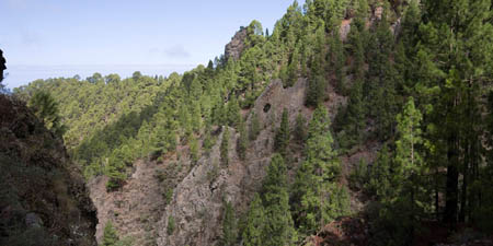 Fra Organos Trail
