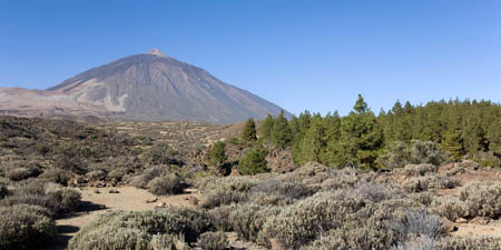 Parque Nacional de las Ca&ntilde;adas del Teide