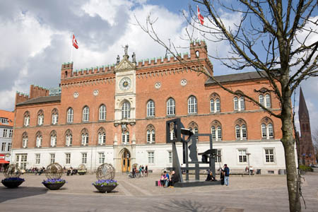 Odense R&aring;dhus