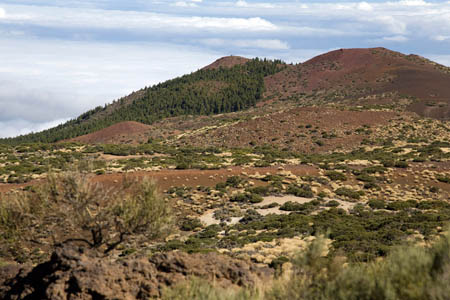 Monta&ntilde;a del Lim�n