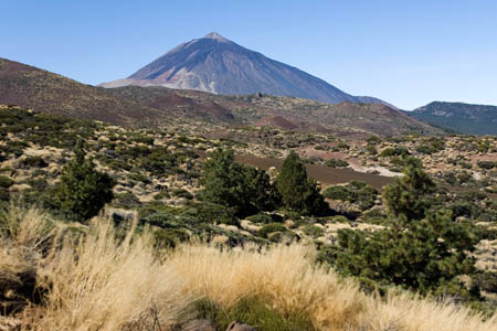 Teide set fra &oslash;st