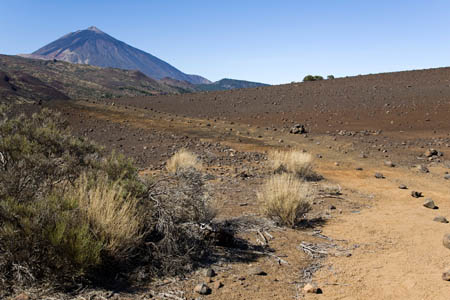 Teide set fra &oslash;st
