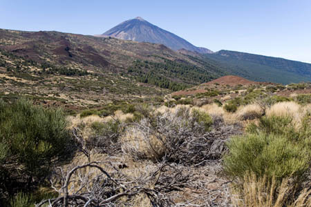 Teide set fra &oslash;st