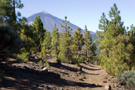 Teide set fra &oslash;st