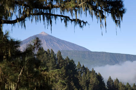 Teide set fra &oslash;st
