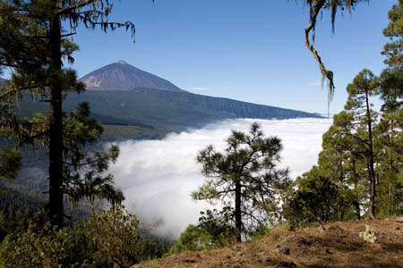 Teide set fra &oslash;st