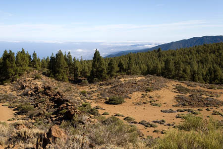Las Ca&ntilde;adas