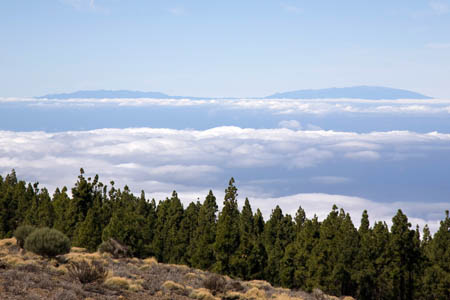 Frit sigt til La Palma der ligger over 100km v&aelig;k