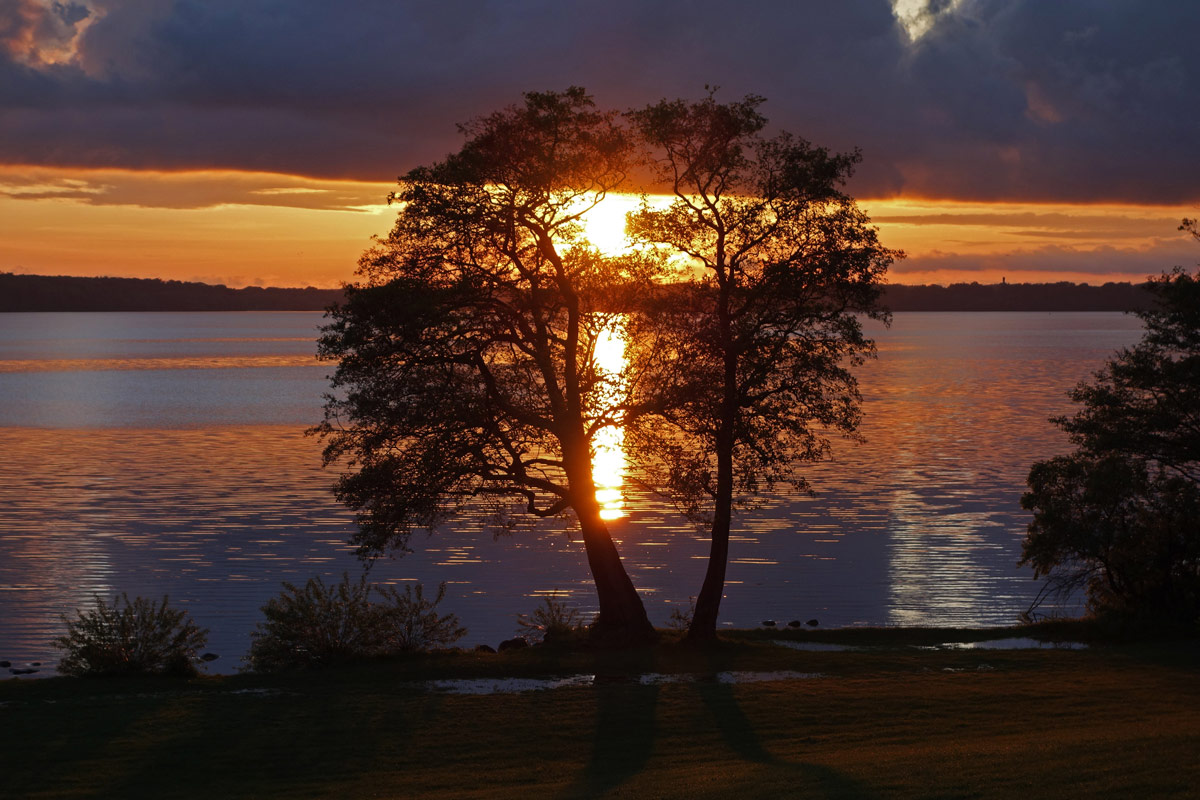 009.jpg