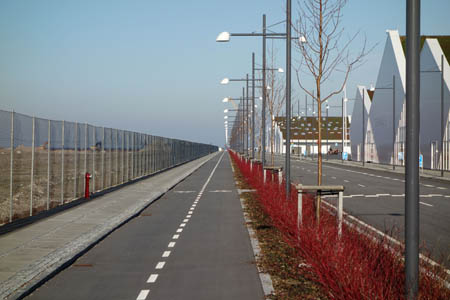 DSC02477.jpg