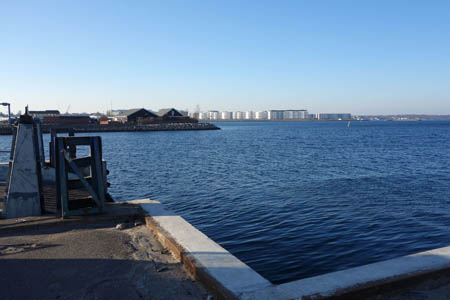 DSC02481.jpg