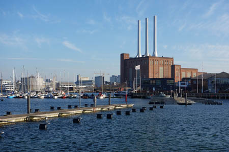 DSC02487.jpg