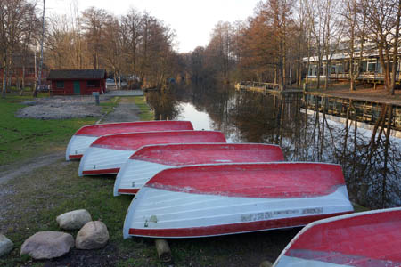 DSC02534.jpg