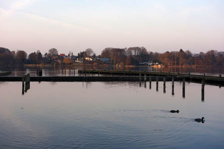 DSC02548.jpg