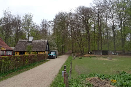 DSC04213.jpg
