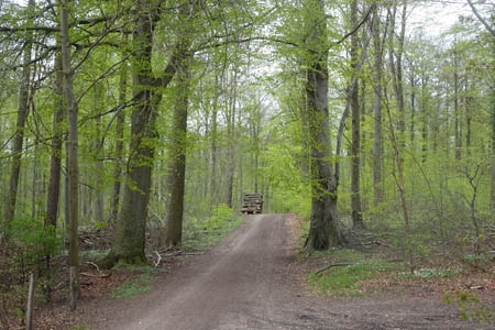 DSC04216.jpg