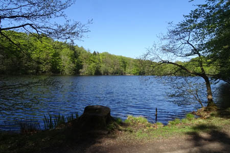 DSC04245.jpg