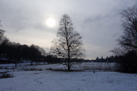 i0310.jpg