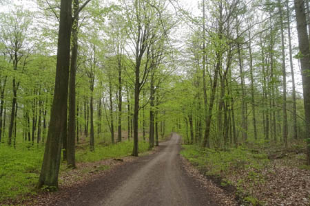 i0428.jpg