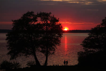 i0515.jpg