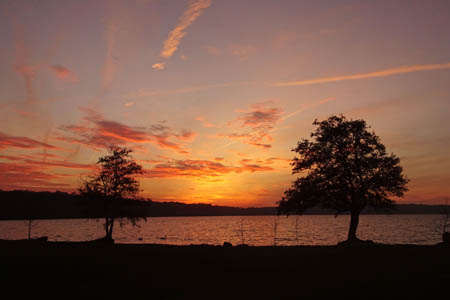 DSC05354.jpg