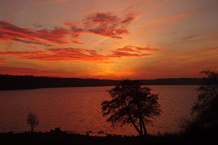 DSC05359.jpg