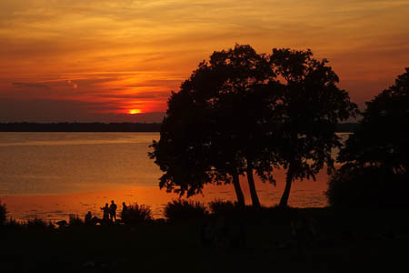 DSC06166.jpg