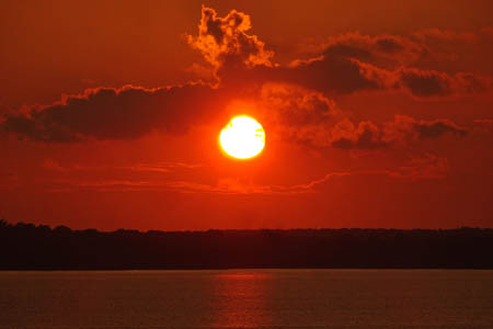 DSC06431.jpg