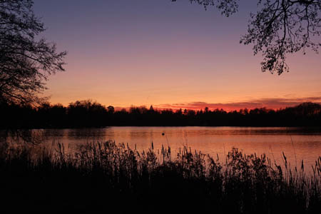 IMG_0736.jpg