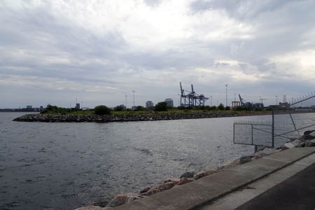 DSC07394.jpg