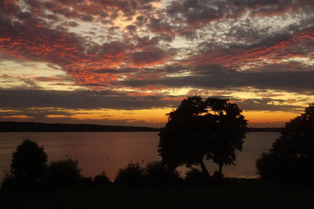 DSC07550.jpg
