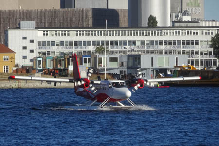 DSC07728.jpg