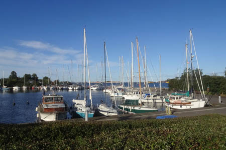 DSC07737.jpg