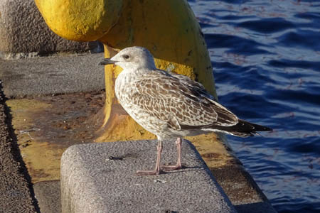 DSC07740.jpg