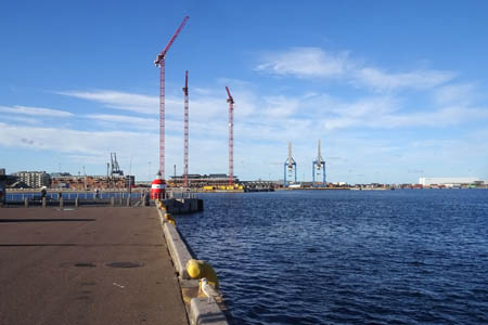 DSC07741.jpg