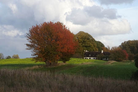 DSC08071.jpg