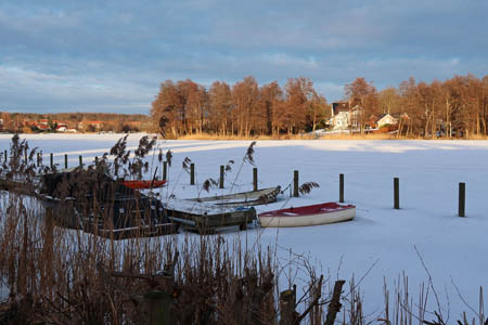 IMG_2301.jpg
